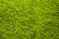 Green Microfiber bath mat Royalty Free Stock Photo