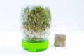 Green microgreen sprouts grown for food in jar. Next to the package with various seeds for growing