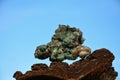 Green mineral stone Royalty Free Stock Photo
