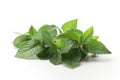 Green Mint leaves. high resolution, Isolate on white Background.