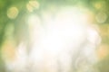 Green mint light leaves blurred and blur natural abstract. Royalty Free Stock Photo