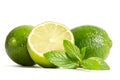 Green mint, two limes with half of a juicy lime Royalty Free Stock Photo