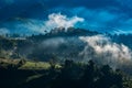 Green Misty mountain forest landscape