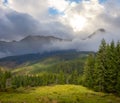 Green misty mountain valley in dense clouds