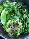 Green mix, basil, parsley, lettuce, kenza Royalty Free Stock Photo