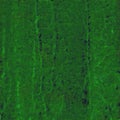 green mix oil paint wall texture for background