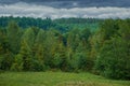 Green, Mixed conifer forest on a summer cloudy day Royalty Free Stock Photo