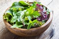 Green mixed salad leaves Royalty Free Stock Photo