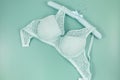 Green modern lady essentials: bra and cotton panty. Fashionable lingerie, female underwear. Lace gentle panties and bra