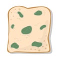 Mold on Bread Green Royalty Free Stock Photo