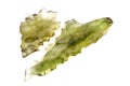 Green moldavite mineral Royalty Free Stock Photo