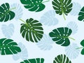 Green monstera leaf vector tropical theme seamless pattern Royalty Free Stock Photo