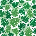 Green Monstera leaves seamless pattern background