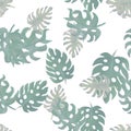 Green Monstera Painting. Brown Seamless Set. Gray Tropical Wallpaper. Pattern Foliage. Watercolor Garden. Floral Backdrop. Summer Royalty Free Stock Photo