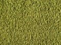 green moquette carpet texture background