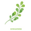 Colorful green moringa tree leaf illustration artwork.