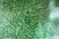 Green mosaic wall background texture