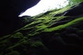Green moss on the cave wall