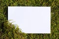 Green Moss Close-up with White Paper Royalty Free Stock Photo