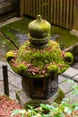 green moss cover Japanese outdoor stone lantern, in japanese temple, kyoto, japan Royalty Free Stock Photo