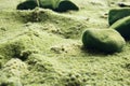 Green moss covered stone texture, background Royalty Free Stock Photo