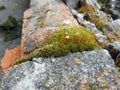 Moss and granite stones Royalty Free Stock Photo