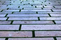 Green moss grass between bricks on pathway. Paving stones. Texture of separate stones on the ground Royalty Free Stock Photo