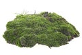 Green moss with grass on pile of dirt isolated on white background Royalty Free Stock Photo