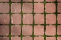 Green moss between gray square paving stones Royalty Free Stock Photo