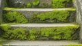 Green Moss Growing on Grey Stone Steps Royalty Free Stock Photo