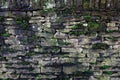 Green moss growing on the old stacked stones fence wall Royalty Free Stock Photo