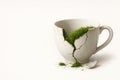 Green moss grows through the cracks in the broken cup. Space for text. Royalty Free Stock Photo
