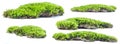Green moss isolated on white background close up. Royalty Free Stock Photo