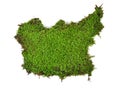 Green moss isolated on white bakground Royalty Free Stock Photo