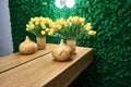 Green moss and lighting interior, background Royalty Free Stock Photo