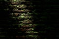 Green moss at old brick wall. Royalty Free Stock Photo