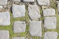 Green moss on old stone footpath Royalty Free Stock Photo