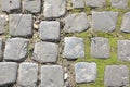 Green moss on old stone footpath Royalty Free Stock Photo