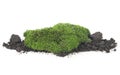 Green moss and pile dirt isolated on white background. Green moss on soil. Forest moss Royalty Free Stock Photo
