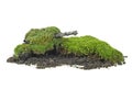 Green moss on pile of soil isolated on white background Royalty Free Stock Photo