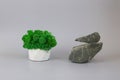 Green moss in pot. Podium made of nature stones. Rock pedestal on a gray background. Beauty product and other subjects