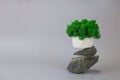 Green moss in a pot on podium made of stones on a gray background