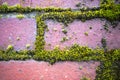 Green moss on red brick wall Royalty Free Stock Photo