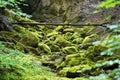Green moss river stones