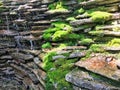 Green moss on stone feature Royalty Free Stock Photo