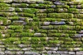 Green moss on stone wall Royalty Free Stock Photo