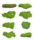 Green moss on white bakground Royalty Free Stock Photo