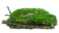 Green mossy hill with rotten branch isolated on white background. Green moss on soil Royalty Free Stock Photo