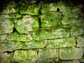 Green mossy masonry