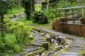 Green mossy path on nature landscape Royalty Free Stock Photo